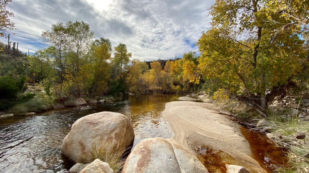 sabino canyon arizona